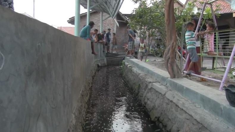 Selokan di Desa Palir Cirebon Jadi Tempat Wisata setelah ...