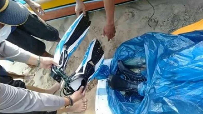 Jasad Penyelam Diduga Bos Wuling Ditemukan di Bulu Babi Pesisir Barat Lampung