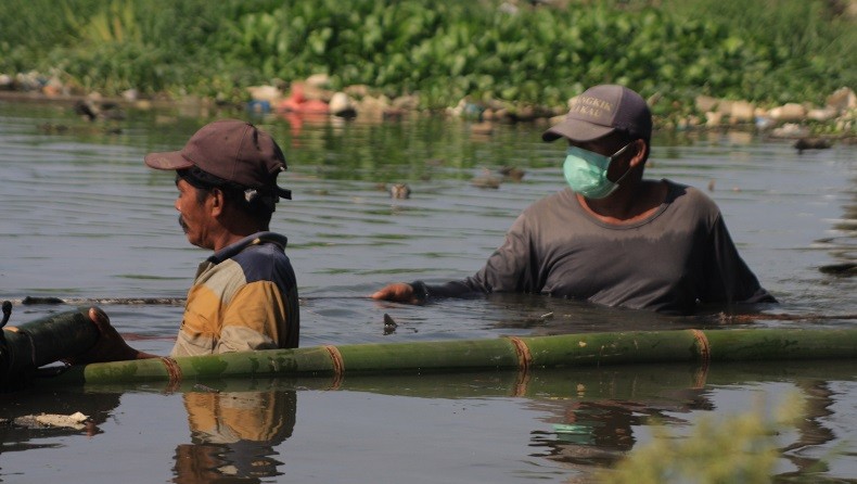 Pengelola Wisata Danau Siombak Medan Pasang Bambu untuk Halau Bangkai Babi