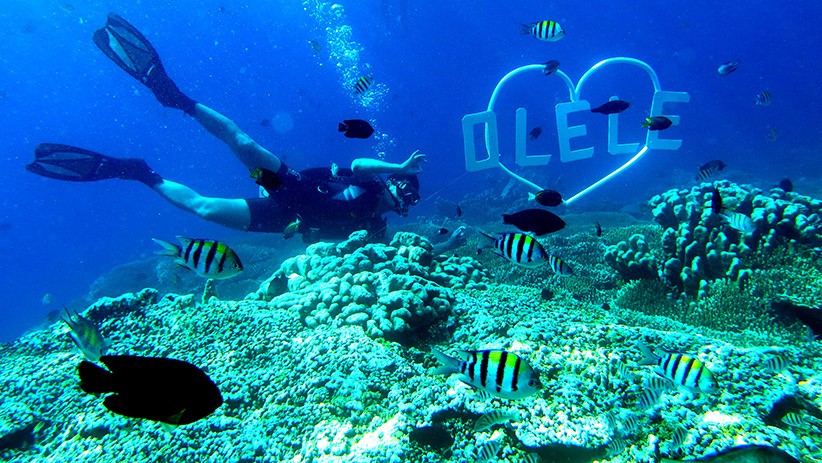 Melihat Keindahan Obyek Wisata Taman Laut Olele di Gorontalo - Bagian 1