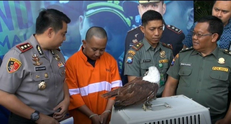 Maling Hp di Malang Ditangkap Polisi, Pelaku Ternyata juga Pelihara Hewan Langka