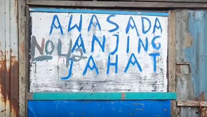 Asyik Jalan Kaki, Seorang Pria Tewas Digigit 7 Anjung Pitbull