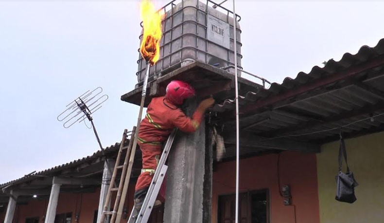 Petugas Damkar Kendal Banjir Permintaan Pemusnahan Sarang Tawon Vespa