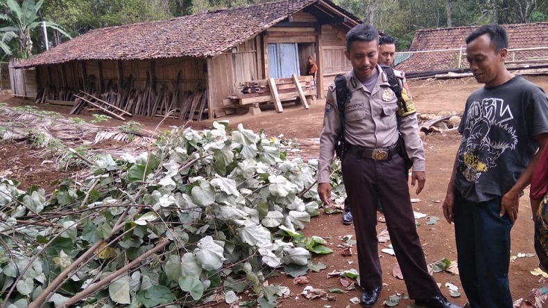 Kakek 70 Tahun di Kulonprogo Tewas Tersengat Listrik saat Cari Pakan Ternak