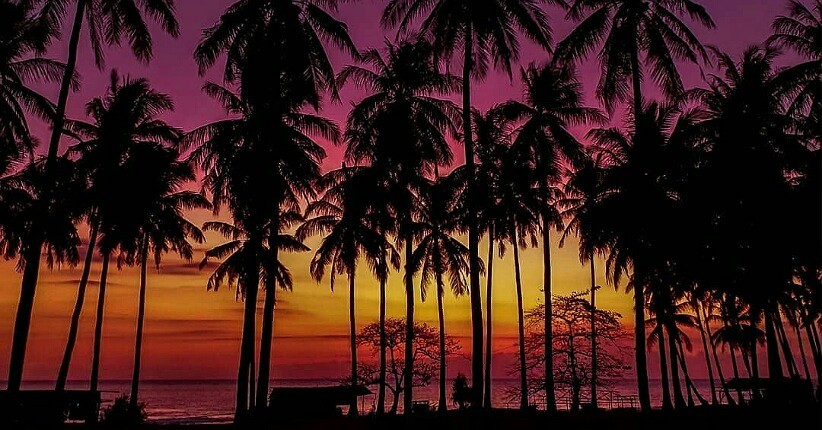 Mengenal Pantai Setangi di Lombok, Deretan Pohon Kelapanya Terlihat Indah  saat Senja