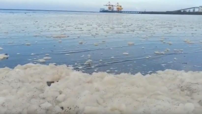 Diduga Tercemar PLTU Paiton, Pantai Bohay di Probolinggo Dipenuhi Buih Putih