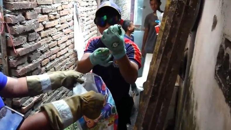 Musim Hujan, Teror Ular Kobra Hantui Warga Perkampungan Padat Penduduk di Jember