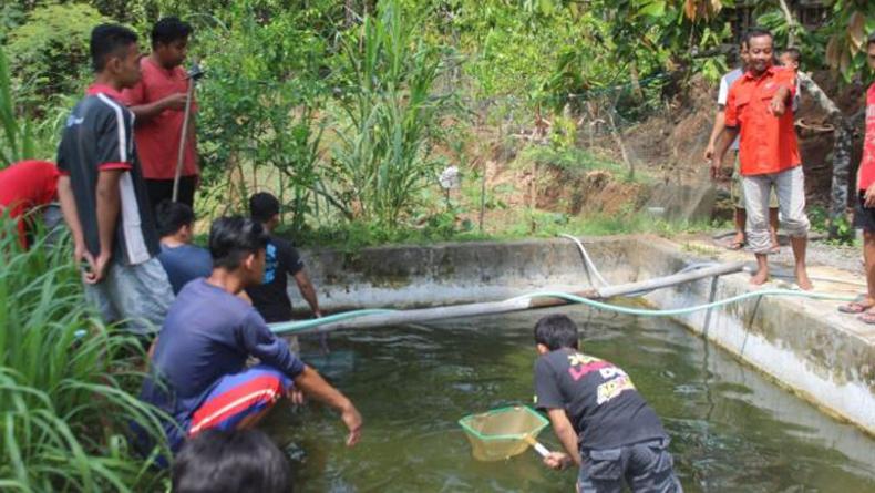 Dorong Kemandirian Ekonomi Warga, Rescue Perindo Gunungkidul Gelar Pelatihan Bibit Lele