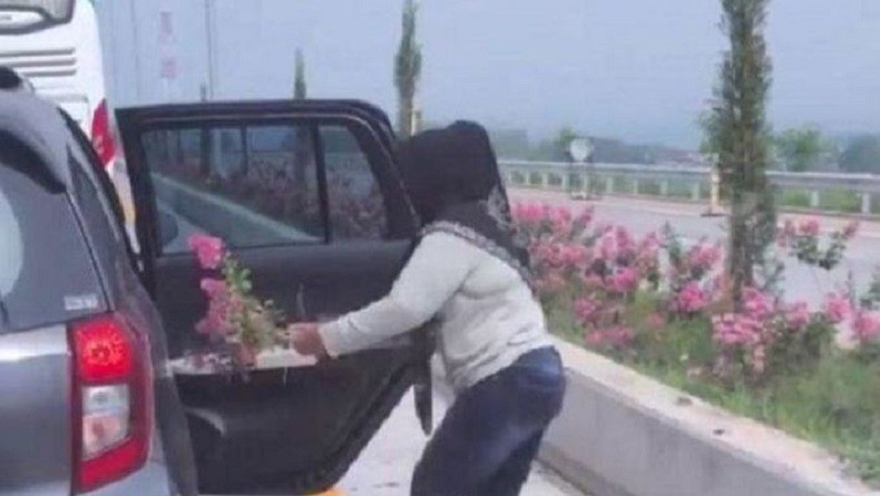 title Viral Emak-Emak Cabut Bunga Hias di Jalan Tol, PT Jasamarga: Jangan Terulang Lagi Viral Emak-Emak Cabut Bunga Hias di Jalan Tol, PT Jasamarga: Jangan Terulang Lagi