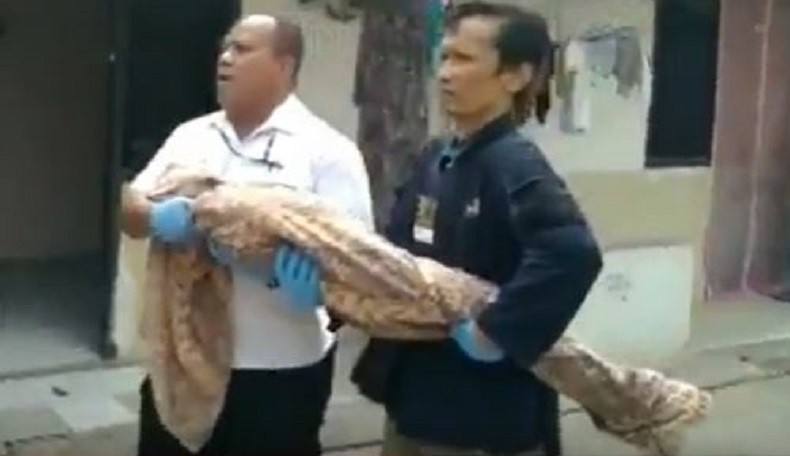 Kronologi Balita di Tangerang yang Dibunuh Ayah Kandung, Korban Sempat Video Call Ibunya