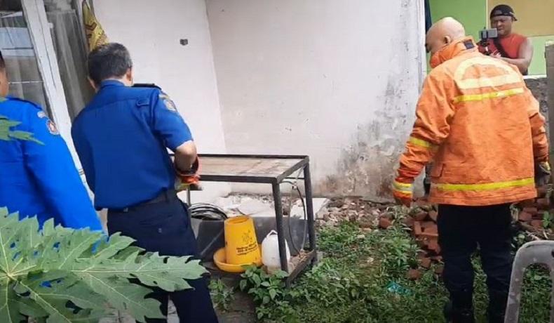 Antisipasi Penyebaran Kobra di Tasikmalaya, Damkar Sisir Tanah Kosong dan Kebun