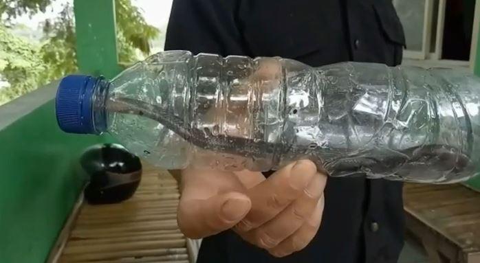 Kobra Kembali Resahkan Warga Sawangan Depok