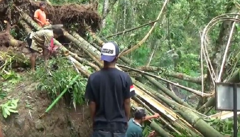 Pohon Tumbang akibat Puting Beliung di Kulonprogo Tutup Akses ke Sejumlah Objek Wisata
