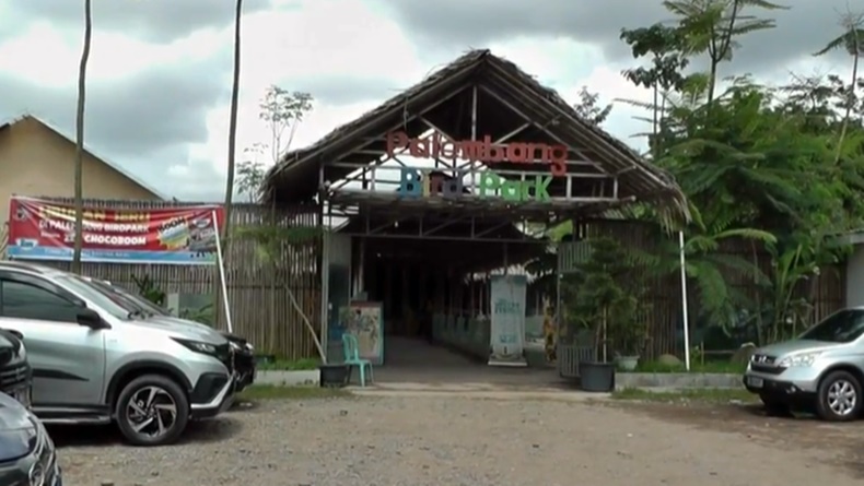 Isi Liburan Akhir Tahun dengan Si Kecil ke Taman Burung Palembang