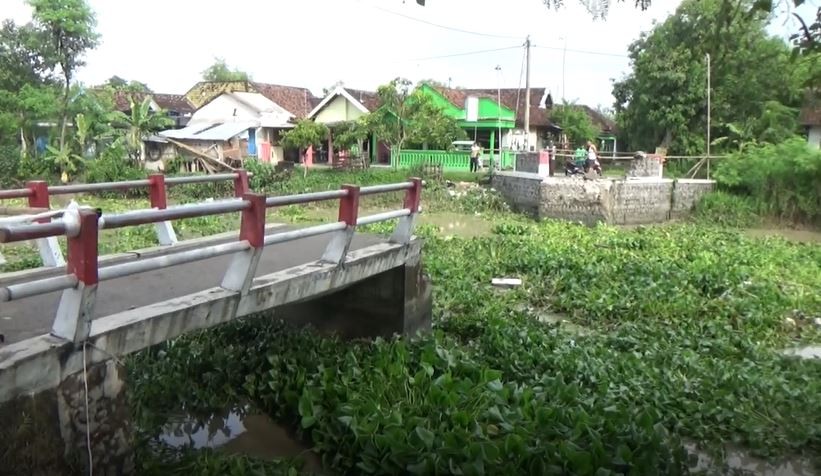 Jembatan di Jombang Putus akibat Tak Kuat Menahan Arus Air dan Enceng Gondok