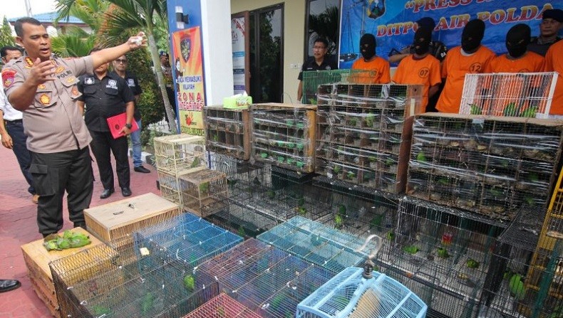Ratusan Cucak Ijo Selundupan Diamankan di Pelabuhan Tanjung Perak Surabaya