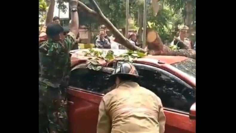 Pohon Tumbang Timpa Mobil di Subang akibat Hujan dan Angin Kencang