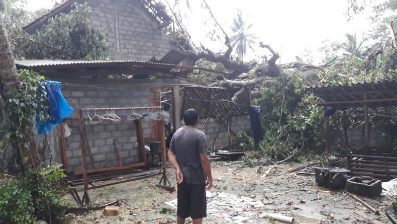 61 Rumah di Kulonprogo Rusak Tertimpa Pohon di Pekan Awal 2020