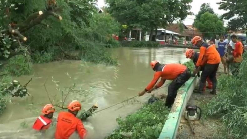 Aksi Berbahaya Petugas BPBD Kendal Singkirkan Pohon Tumbang yang Menutup Aliran Sungai