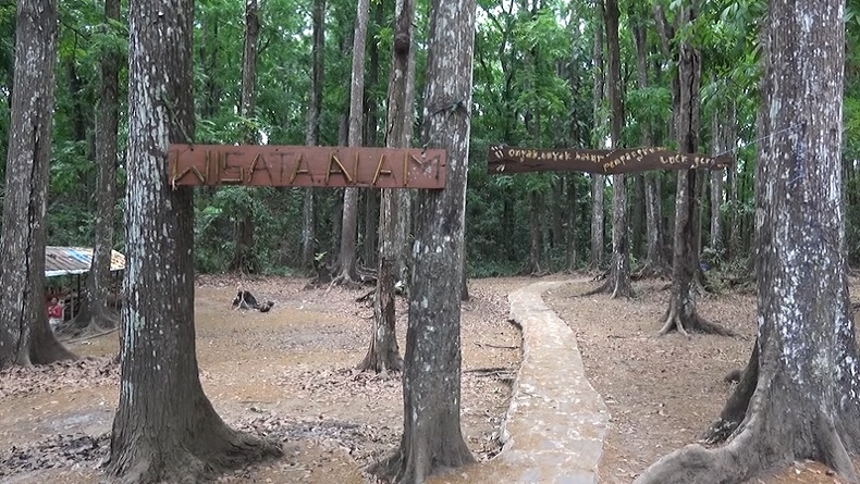 Mengintip Keindahan Jalur Baru Pendakian Gunung Rinjani