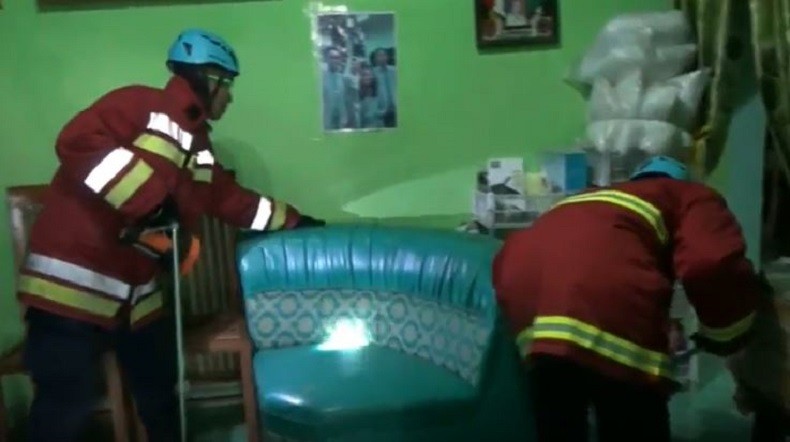 Sebulan Terakhir, 32 Ekor Ular Berbisa Diamankan Petugas Damkar dari Permukiman