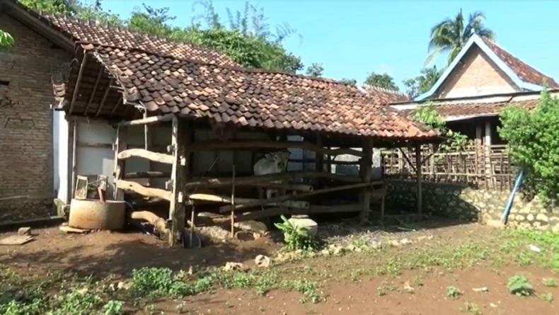 1 Orang Diduga Meninggal karena Antraks, Warga Gunungkidul Was-Was