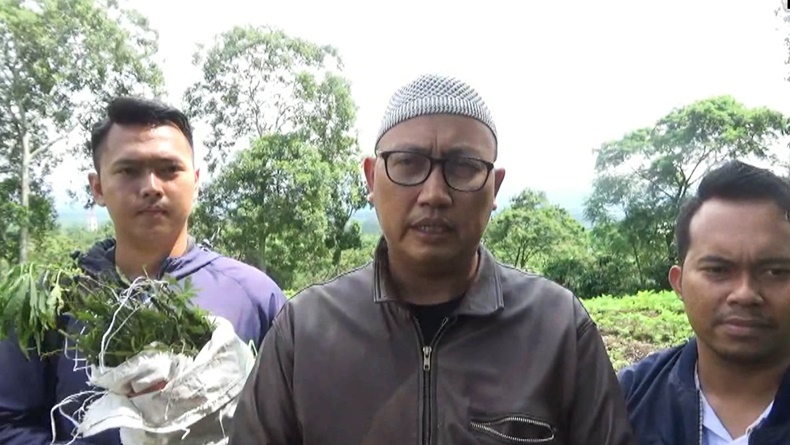 Polres Pagaralam Temukan 3 Hektare Ladang Ganja 