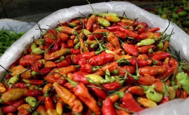 Penuhi Kebutuhan dan Stabilisasi Harga, Pemprov Kalbar Datangkan 10 Ton Cabai dari Tuban