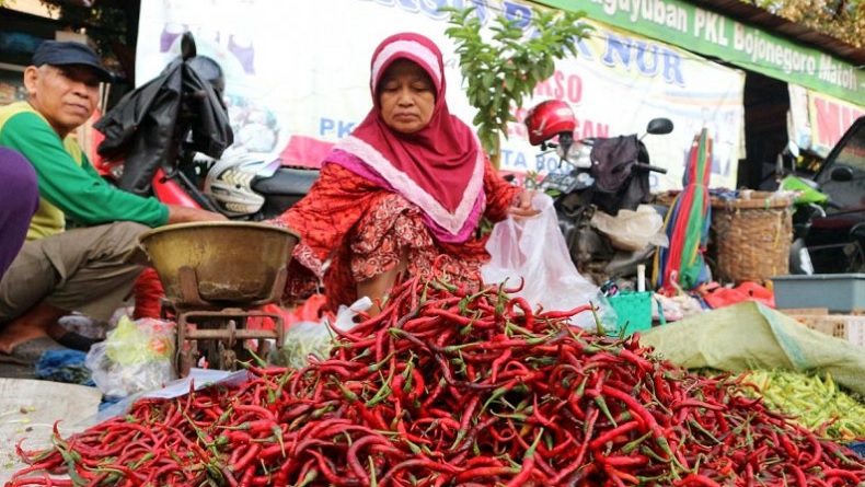 title Cabai Merah Keriting di Baturaja Dijual Rp80.000 per Kilogram Cabai Merah Keriting di Baturaja Dijual Rp80.000 per Kilogram