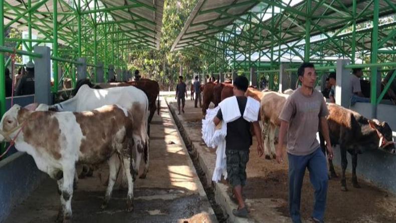 Antisipasi Antraks, Pemkab Kulonprogo Intensifkan Pengawasan Pasar Hewan
