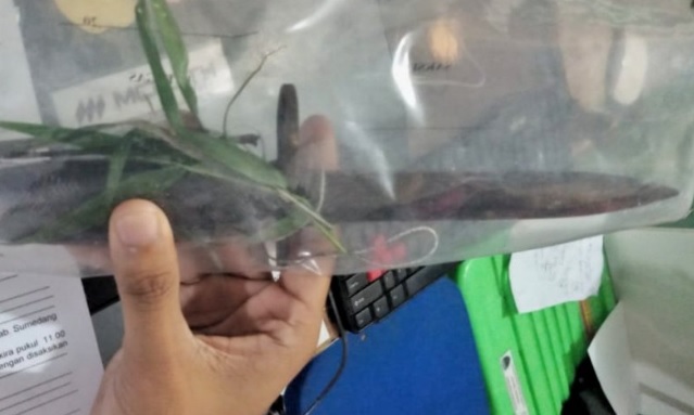 Sering Goda Istri Teman, Pegawai Honorer BPK Sumsel Tewas Ditusuk Rekan Sekantor