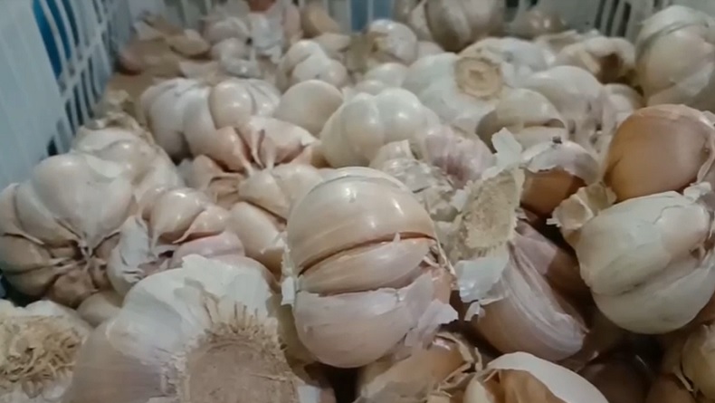 title Harga Bawang Putih di Bandung Masih Tinggi Harga Bawang Putih di Bandung Masih Tinggi