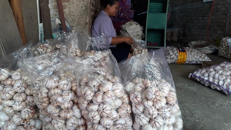 Kota Yogyakarta Hanya Miliki Stok Bawang Putih untuk 2 Bulan