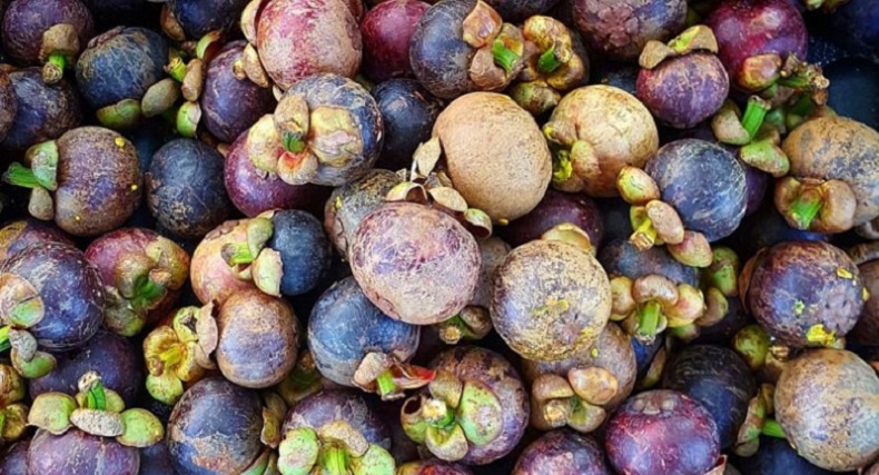 Janji Fasilitasi Ekspor, Pemkab Purwakarta Minta Petani Manggis Tingkatkan Produksi