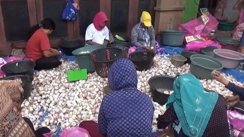 Gegara Virus Korona, Harga Bawang Putih di Medan Naik 100%