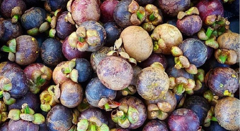 Purwakarta Targetkan Tambah Ekspor Manggis Jadi 50 Ribu Ton Tiap Tahun