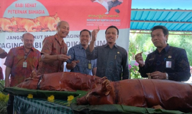 Kasus Flu Babi di Bali, Sekda: Masih Suspect, Belum Positif