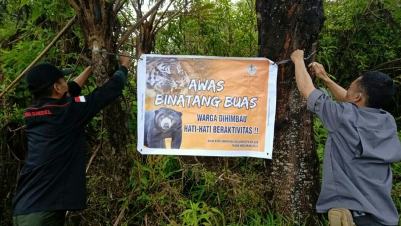 title BKSDA Sumsel Usul Pembentukan Tim Konflik Hewan dengan Manusia BKSDA Sumsel Usul Pembentukan Tim Konflik Hewan dengan Manusia