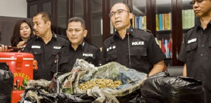 BNN Rangkul Desa Adat Awasi Penjualan Mushroom di Bali