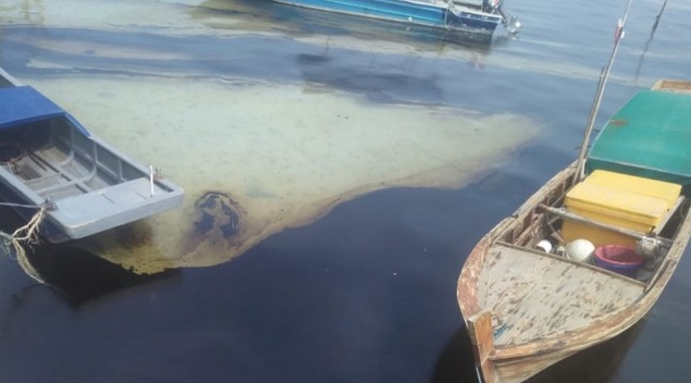 Pantai Bintan Kepri Berwarna Hitam akibat Tercemar Limbah Minyak Kapal Asing