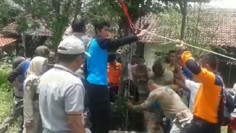 Lepas dari Ikatan, Sapi di Situbondo Terperosok dalam Sumur dan Mati Kehabisan Oksigen