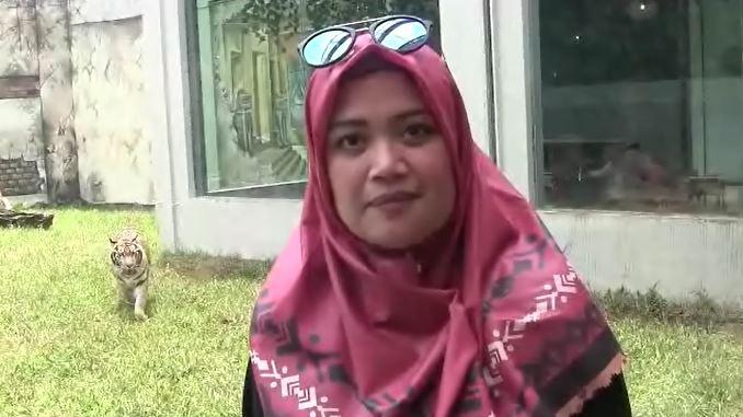 Ada di Lembang, Sensasi Makan Siang Sambil Lihat Harimau Benggala