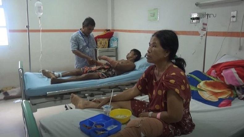 Suami Istri di Kapuas Nyaris Tewas Diserang Beruang saat Hendak Memanen Padi