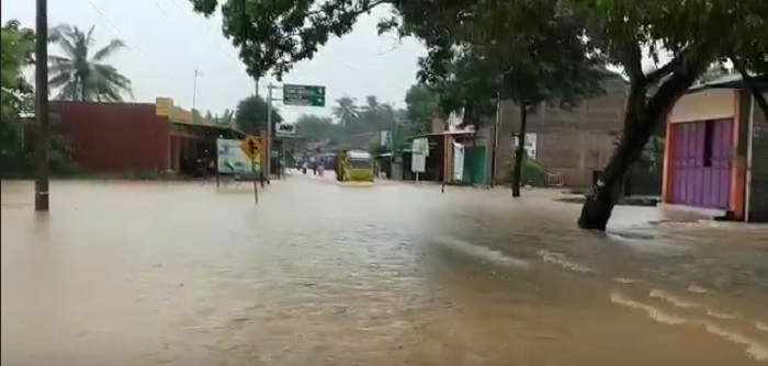 Sungai Bogowonto Meluap, 13 Desa di Purworejo Terendam Banjir