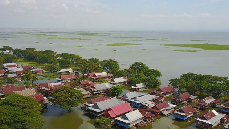 Populasi Melimpah, Ikan Sapu-Sapu Akan Dikembangkan di Wajo