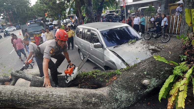 Hujan Angin, Puluhan Pohon di Sleman Tumbang dan Rusak Rumah Warga