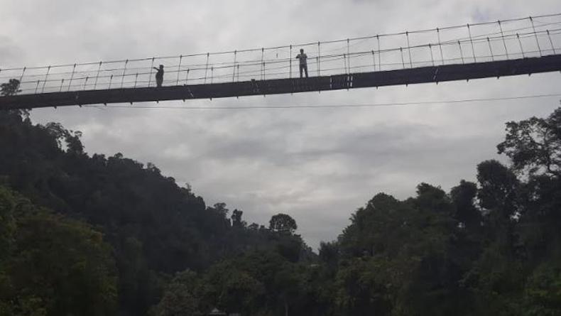 title Ngeri, Bocah 8 Tahun Jatuh dari Jembatan Gantung di Kawasan Wisata Tangkahan Ngeri, Bocah 8 Tahun Jatuh dari Jembatan Gantung di Kawasan Wisata Tangkahan
