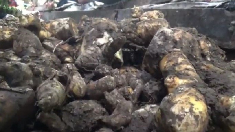 Harga Rempah-Rempah di Pasar Tradisional Probolinggo Naik, Jahe Merah Langka