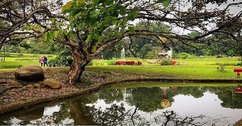 Kebun Raya Bogor, Wisata Terpopuler dan Banyak Spot Menarik untuk Swafoto