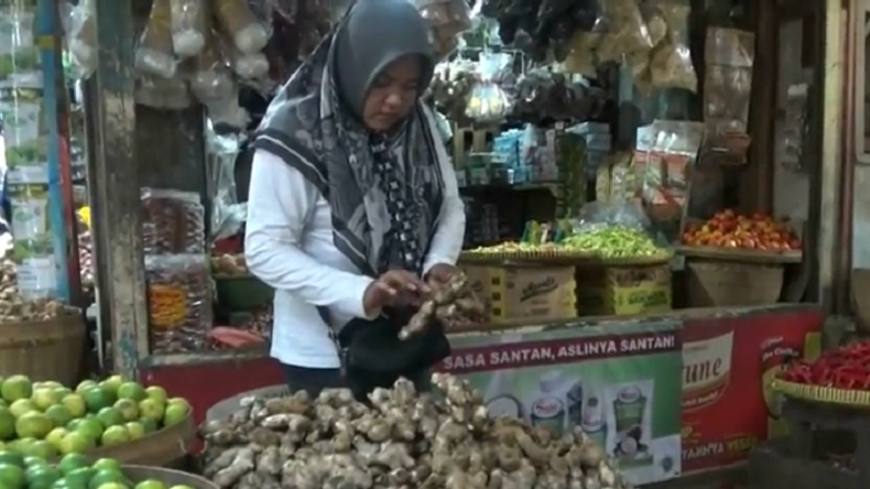 Jahe Merah Hilang di Bojonegoro, Warga Buru Rempah Pengganti